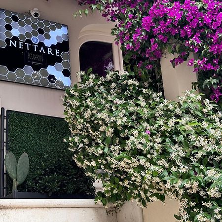 Dimora Nettare Otel Brindisi Dış mekan fotoğraf